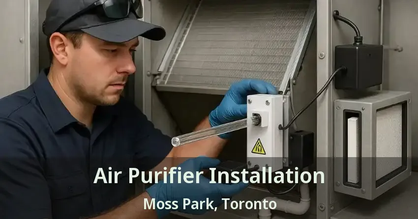 Air Purifier Installation Moss Park, Toronto - ON