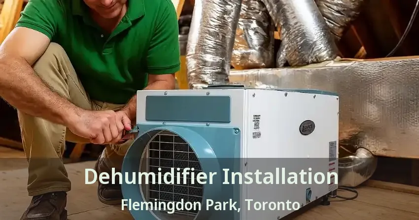 Dehumidifier Installation Flemingdon Park, Toronto - ON