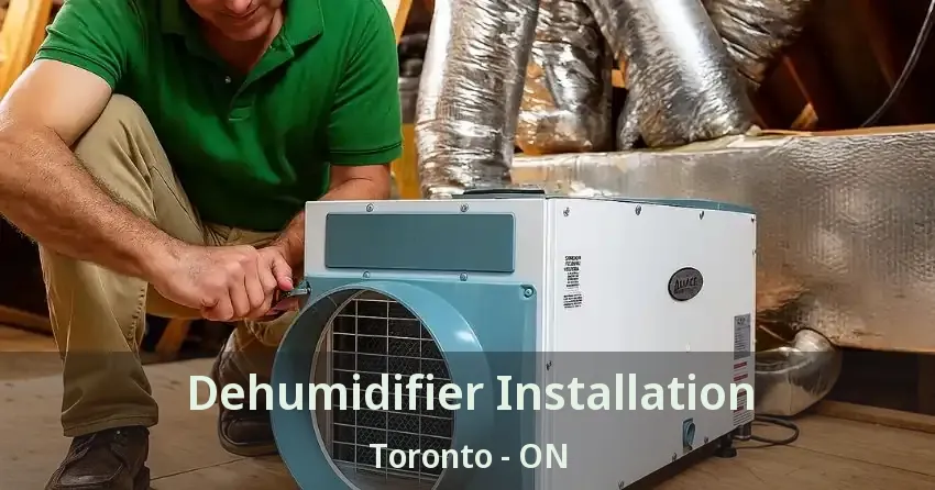 Dehumidifier Installation Toronto - ON