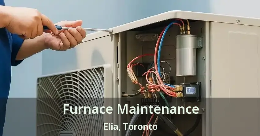 Furnace Maintenance Elia, Toronto - ON